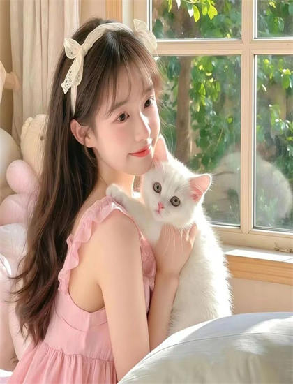 蓝光原盘：2026贺岁档《魔法灵猫》：年度压轴作品分析