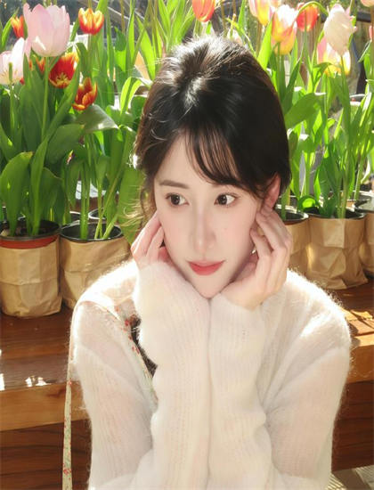 《杏林春暖岁岁安澜》专业评分：豆瓣/IMDb评分解析与口碑分析